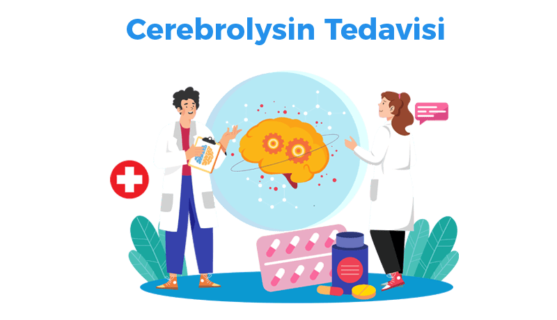 What are the effects of Cerebrolysin on the brain?