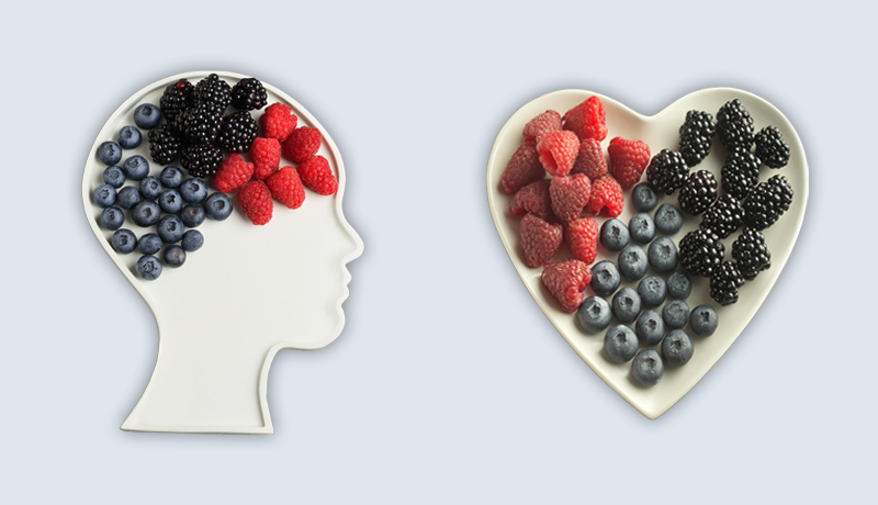Flavanols: Important Nutrient Sources for Heart and Brain Health
