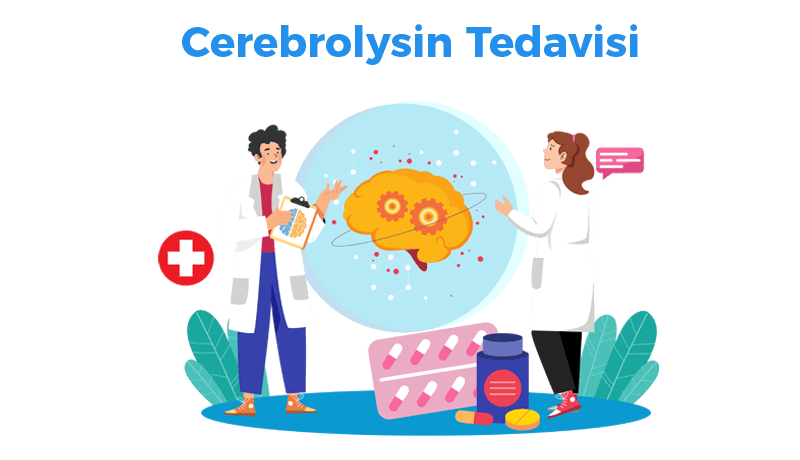 What are the effects of Cerebrolysin on the brain?